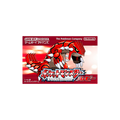 Nintendo GBA - Pokemon Ruby